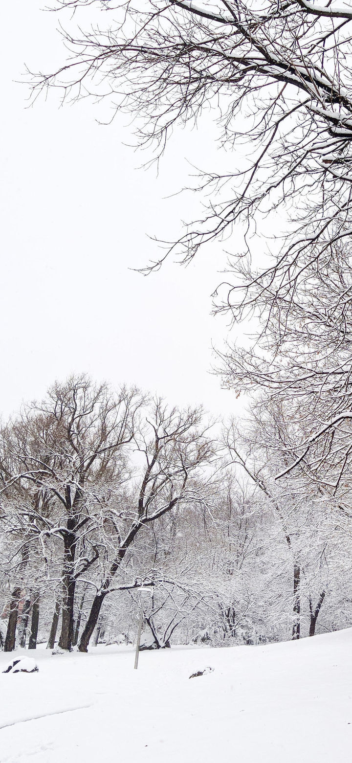 关于“雪”的浪漫文案