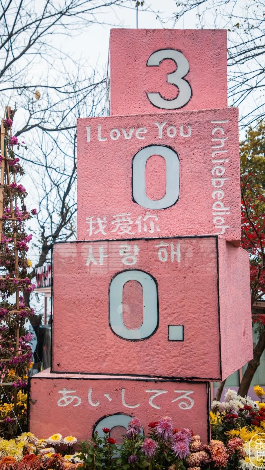 岳麓山，“枫”了！