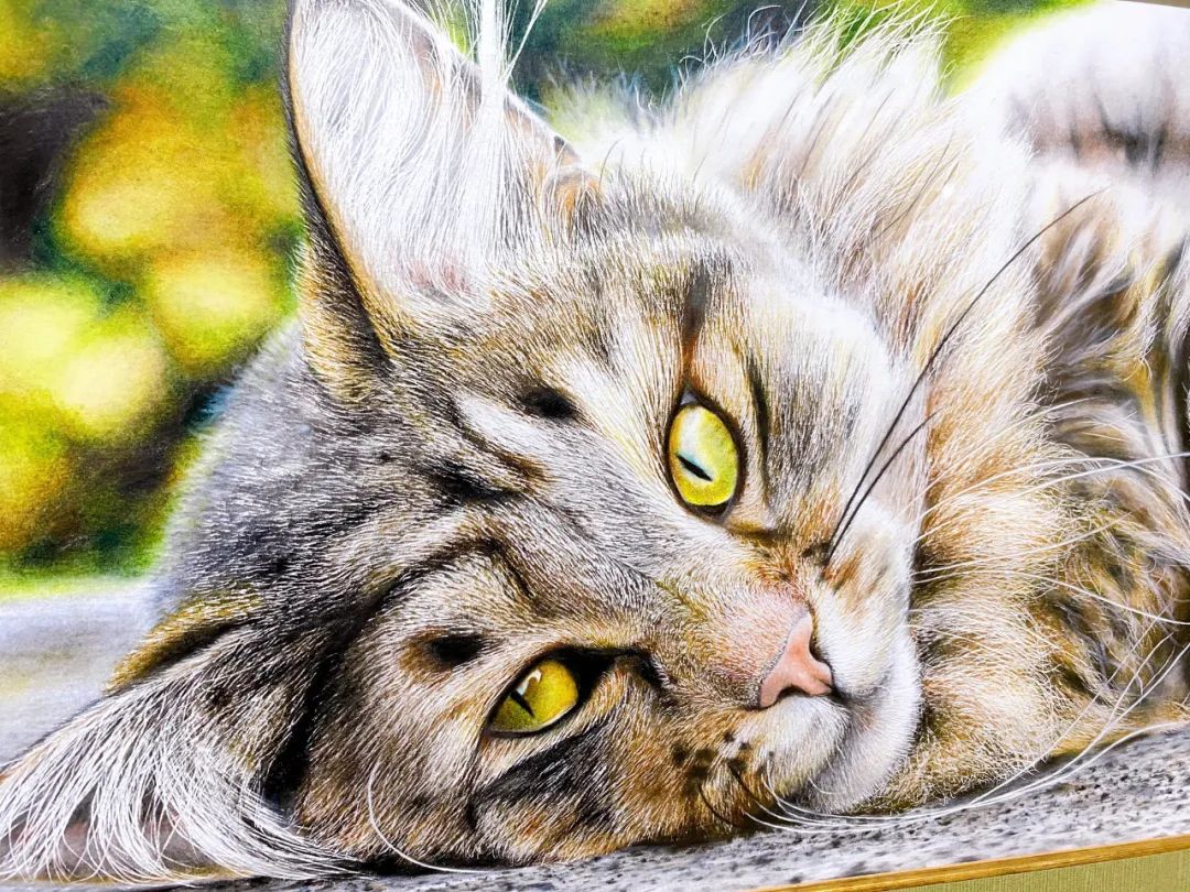 彩铅绘画作品欣赏—色彩鲜艳,笔触细腻的彩铅画,内附教程哦