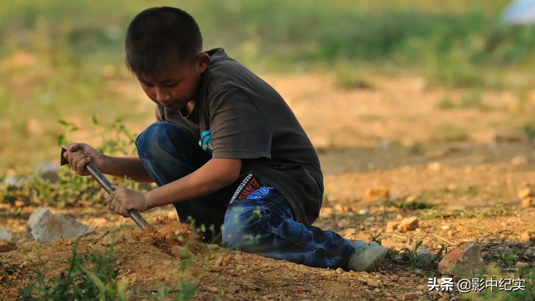 女大学生放弃年薪40万的工作，与野猪同吃同住，10年后年入上亿