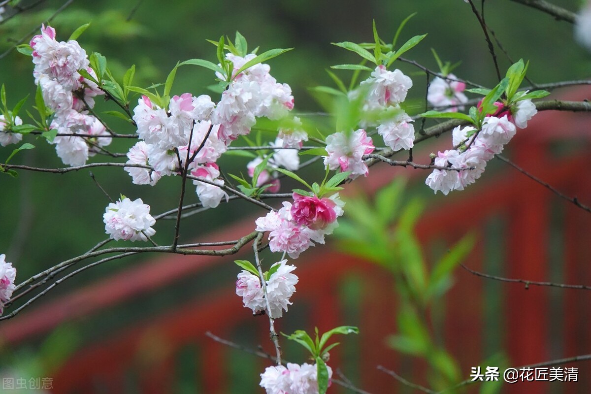 这6句最适合发朋友圈的句子，冷门却惊艳古今！瞬间提升你的气质