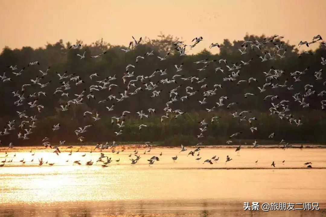 广州南沙湿地公园1天游，打卡十九涌渔家小镇