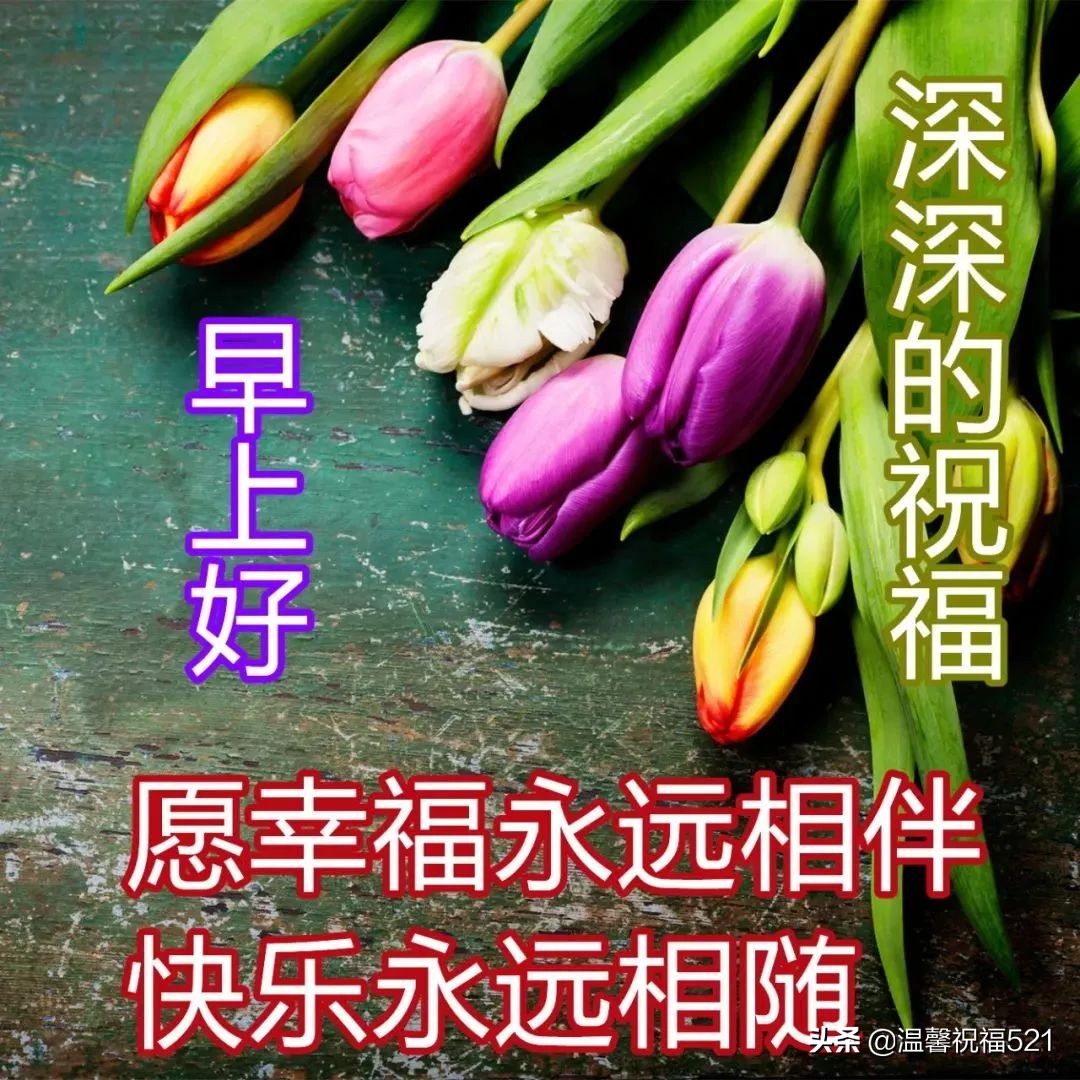 适合微信朋友圈的早安温馨问候语短句 春日早安问候语鲜花图片带字