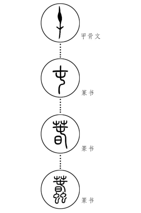 西方破译古埃及文200年！甲骨文发现百年，为何至今只破译一半