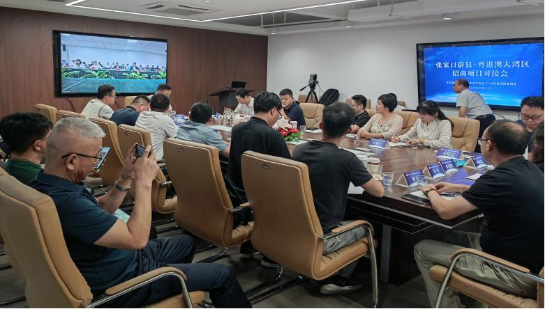 广东省张家口商会成功举办蔚县·粤港澳大湾区招商项目云端对接会