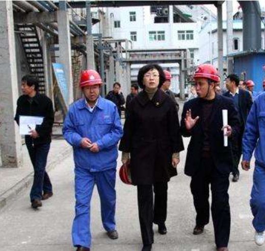 旧案｜2014年山西女市长杨晓波落马记