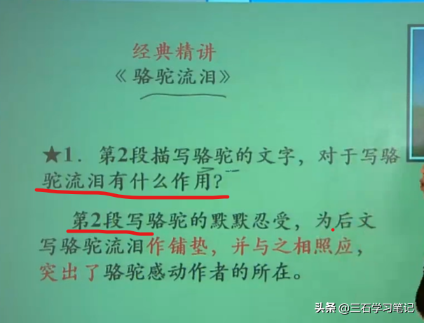 语文阅读理解技巧 分析句段作用 领会句子含义——学习笔记2