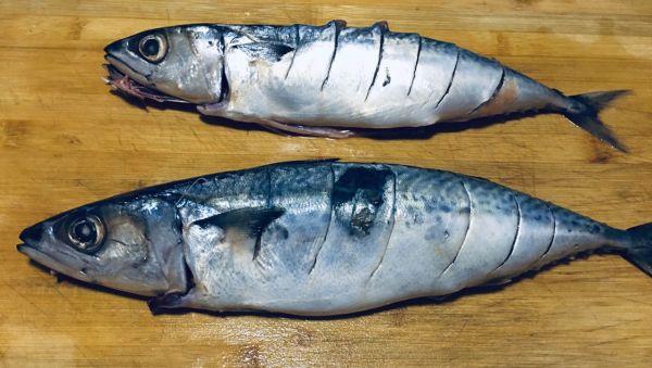 罐頭魚,罐頭魚的做法最正宗的做法