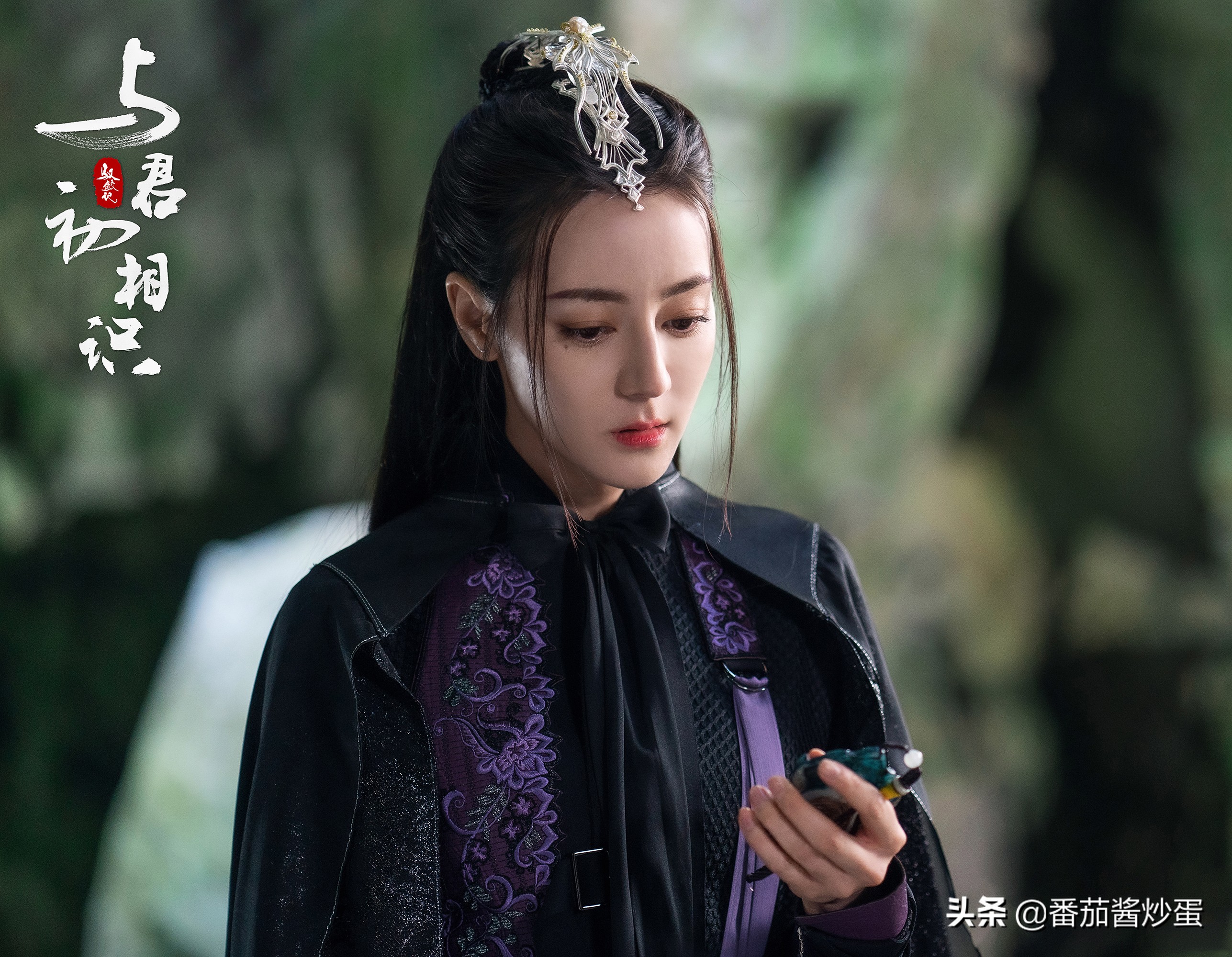 与君初相识纪云禾命不久矣林沧澜只是个傀儡幕后黑手另有其人