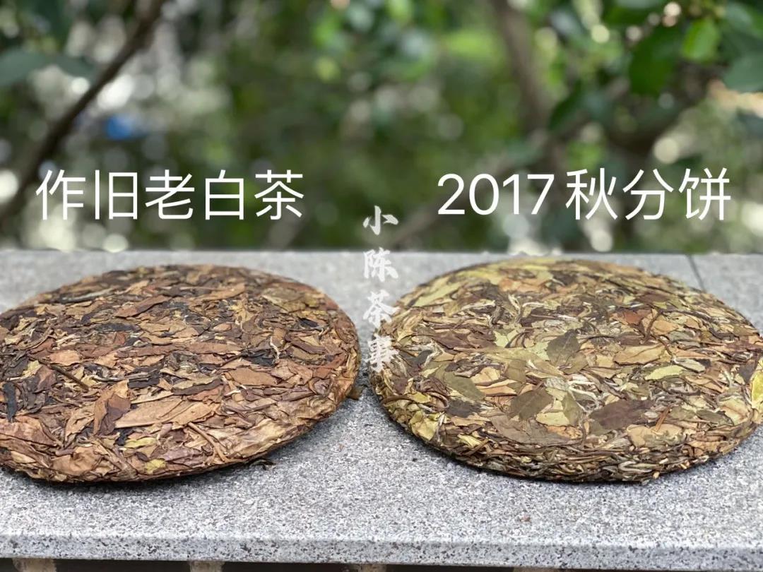 58元一饼，真能买到老白茶？10年以上的老白茶，真实价格是多少？