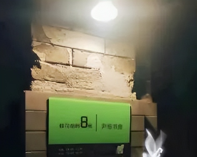 21世纪是生命科学的世纪，这套书，推荐孩子们都看看