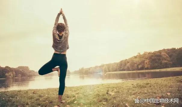 新研究发现：单腿站立或可以作为中老年人健康状况的预测指标