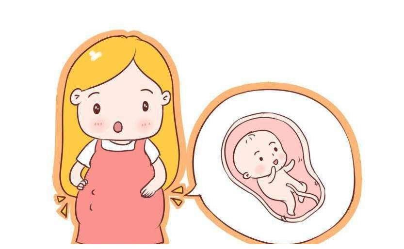 孕妈日记|胎动好比宝宝的"健康表",你数胎动的方法正确吗?