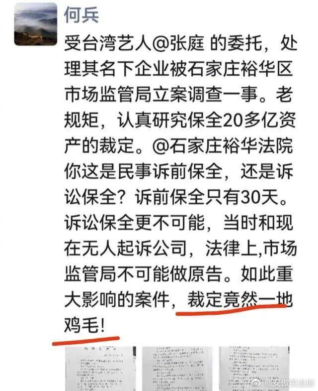 张庭为夺回被冻结的20亿，请法学教授何兵出山，能成功追回吗？