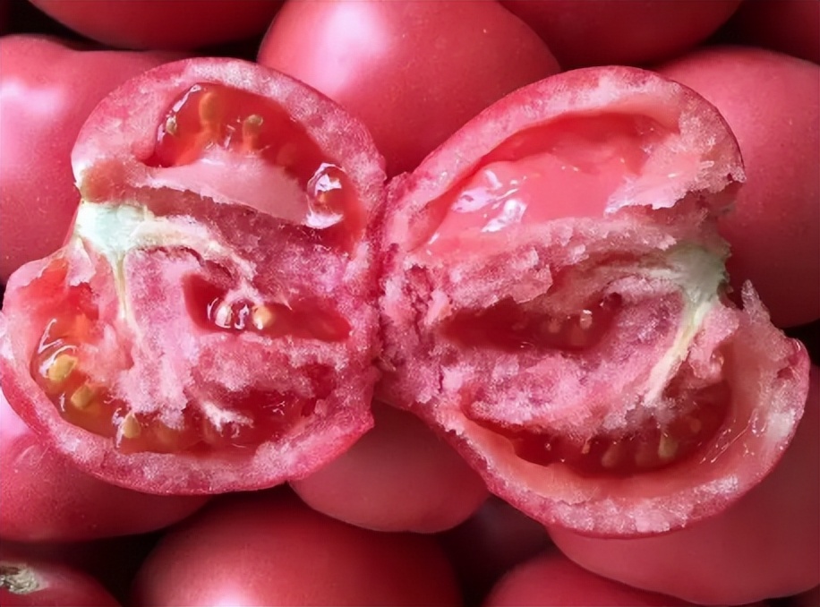 沙瓤西红柿沙瓤西红柿和普通西红柿