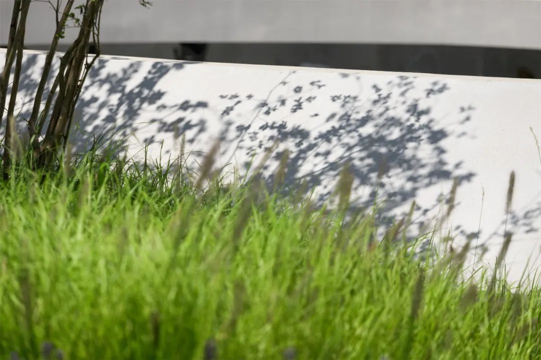 美妙的公园设计，是“纯欲天花板”