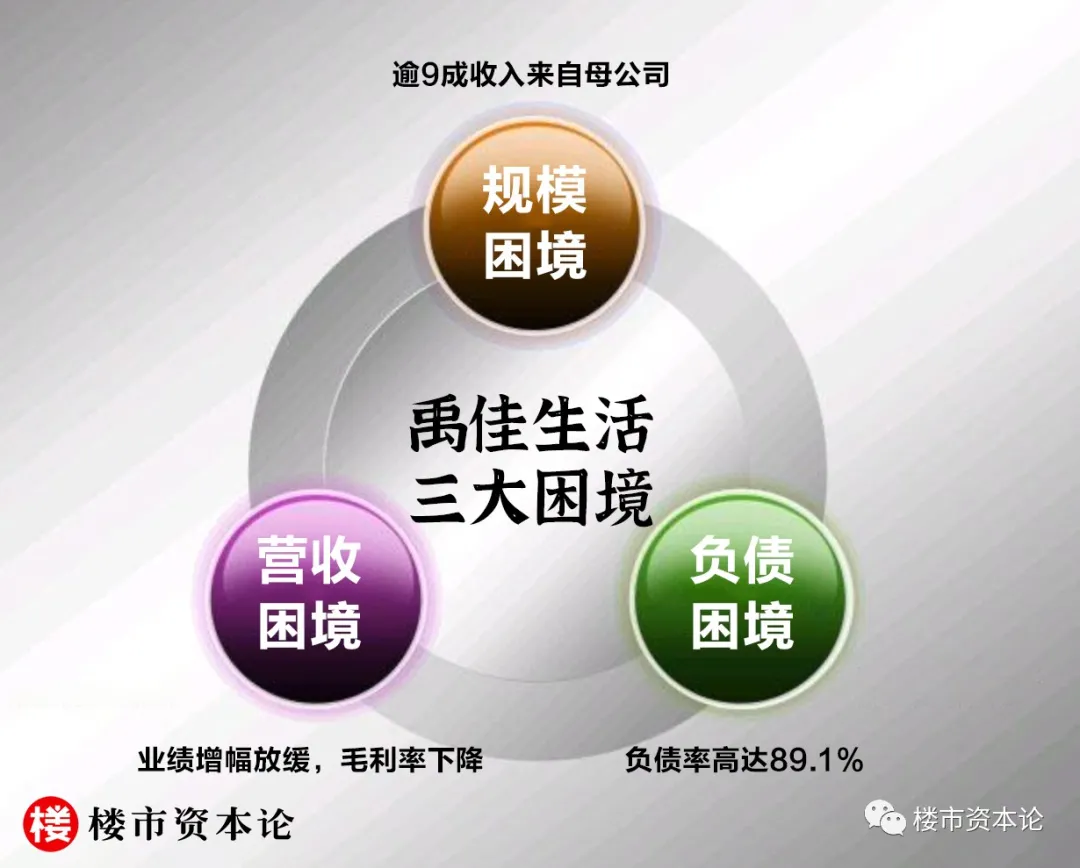 禹佳生活I(lǐng)PO二度失效，負(fù)債率89%林禹芳難破局
