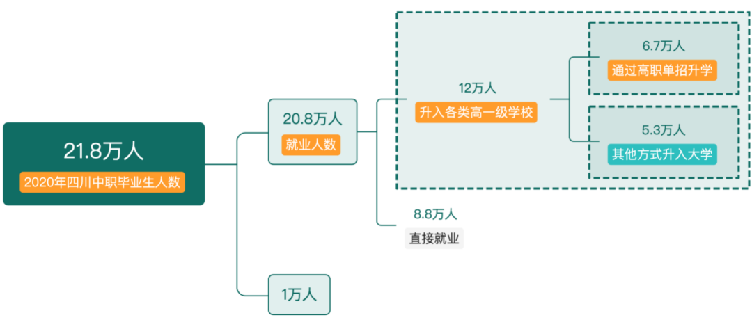 中职升学体系日趋完善，中职毕业生上大学之路更宽了