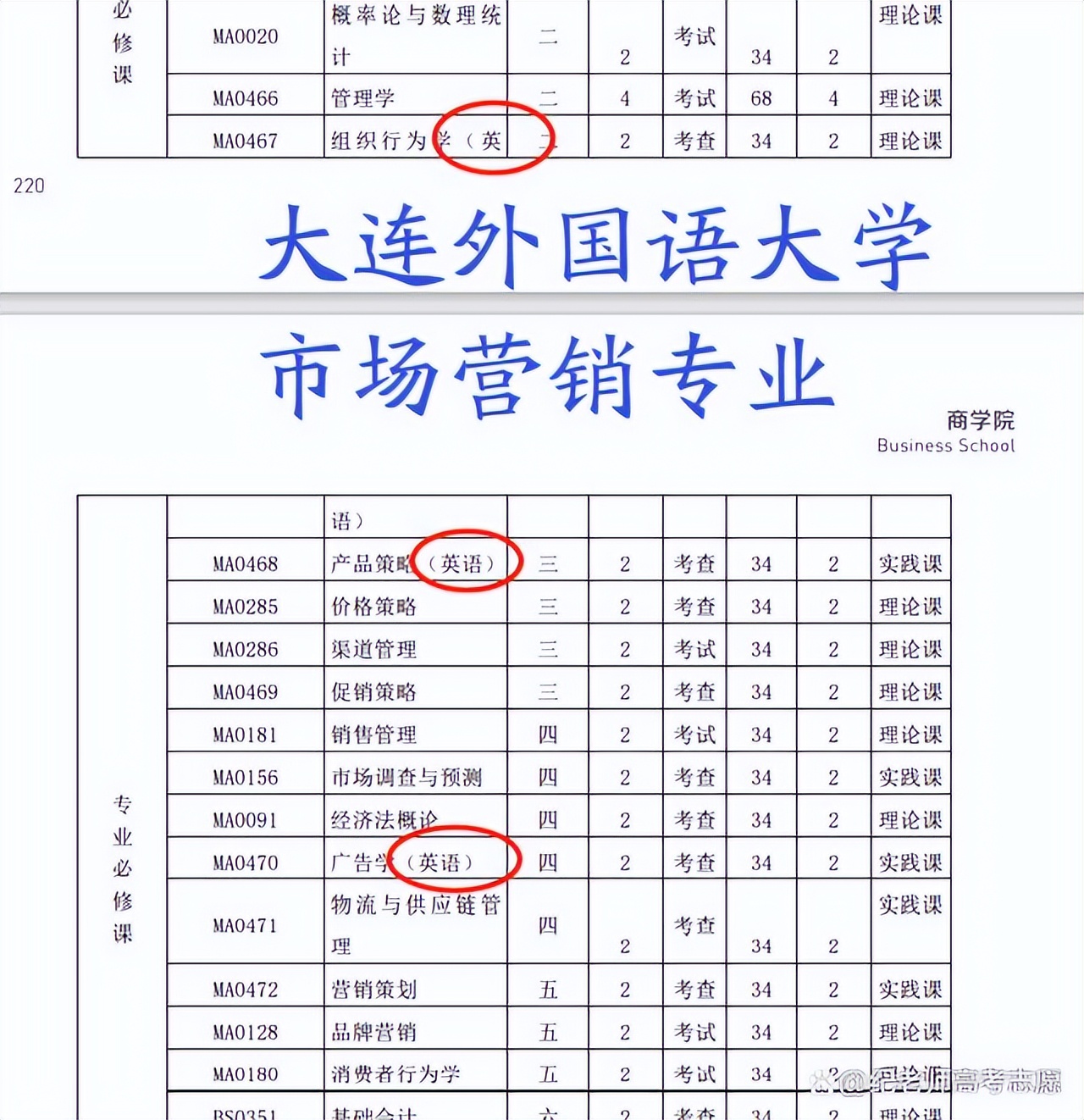 日语等非英语语种的高考生在填报志愿时需要注意哪些事项？