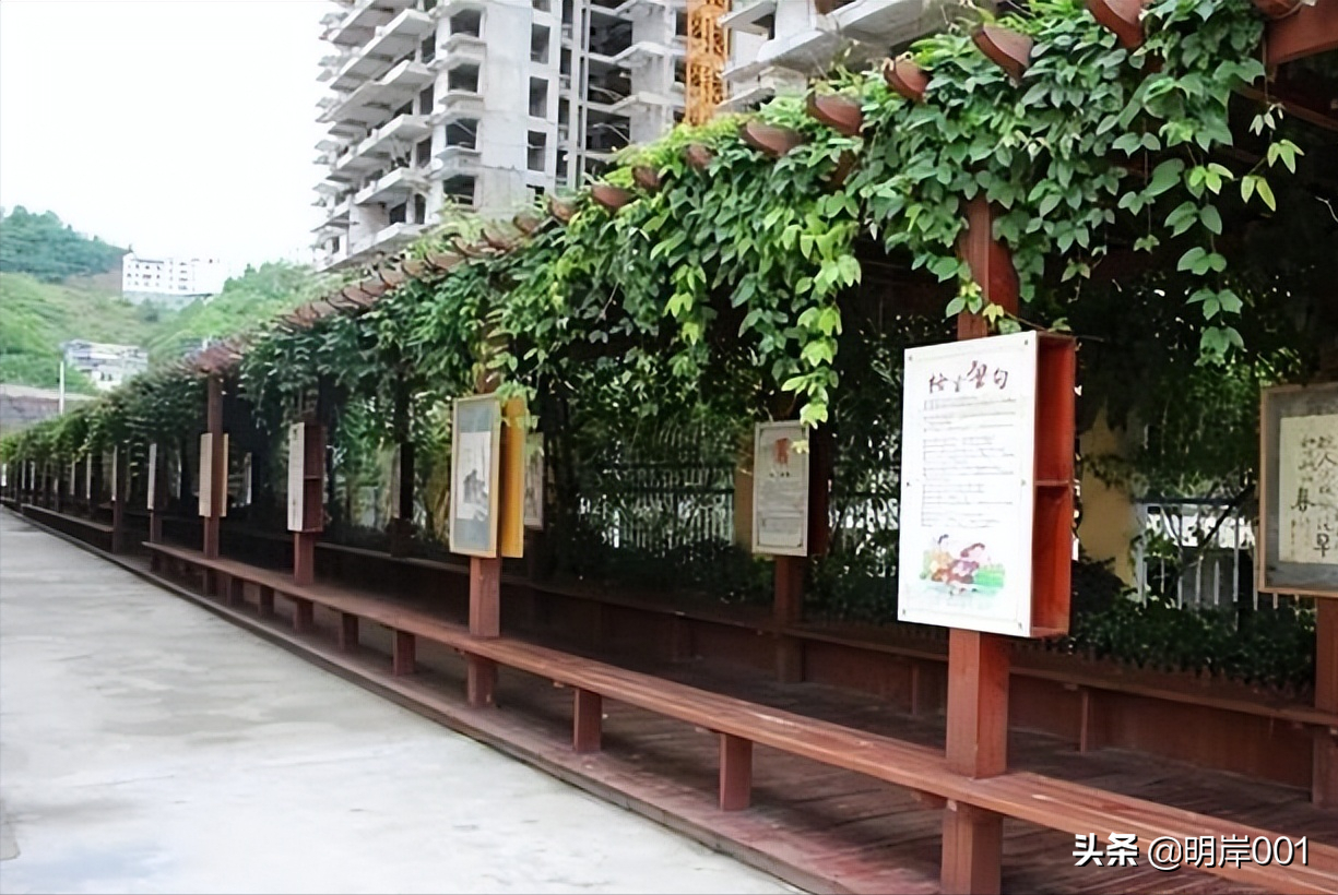 明岸：校园文化墙设计方案