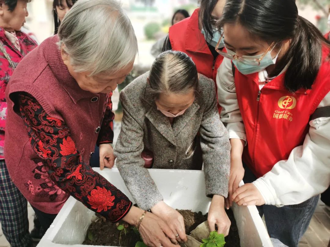 不亦乐乎！养老院可以种菜了