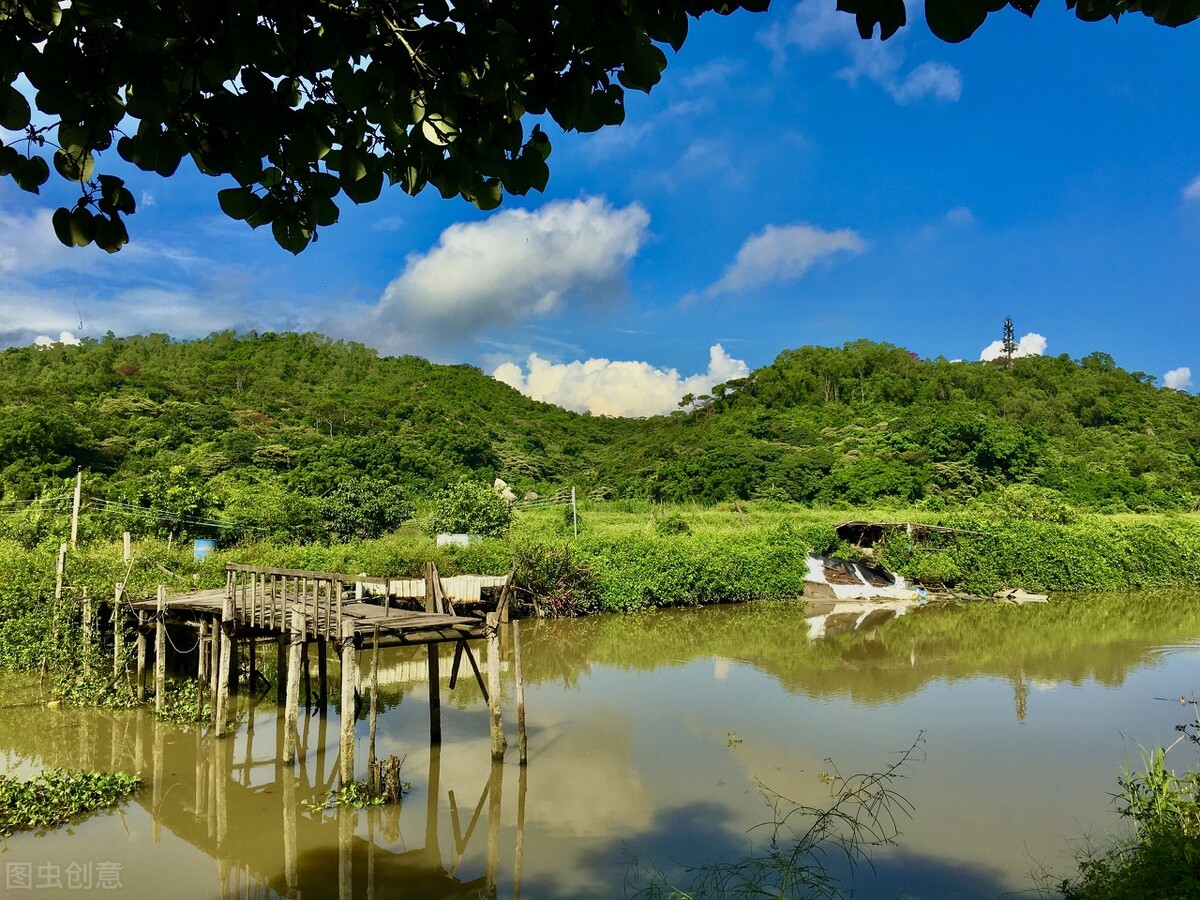 3,淇澳紅樹林,白石街