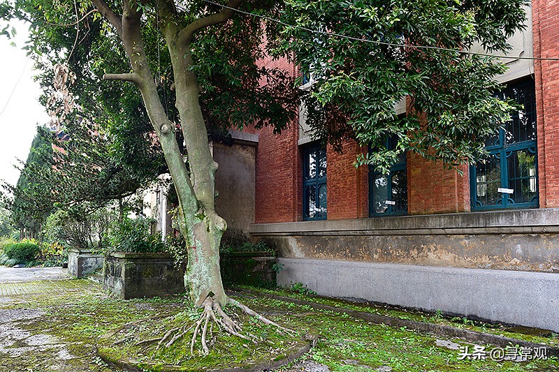 探秘重庆这座消失的“宇宙”大学，到处是荒废的宿舍楼