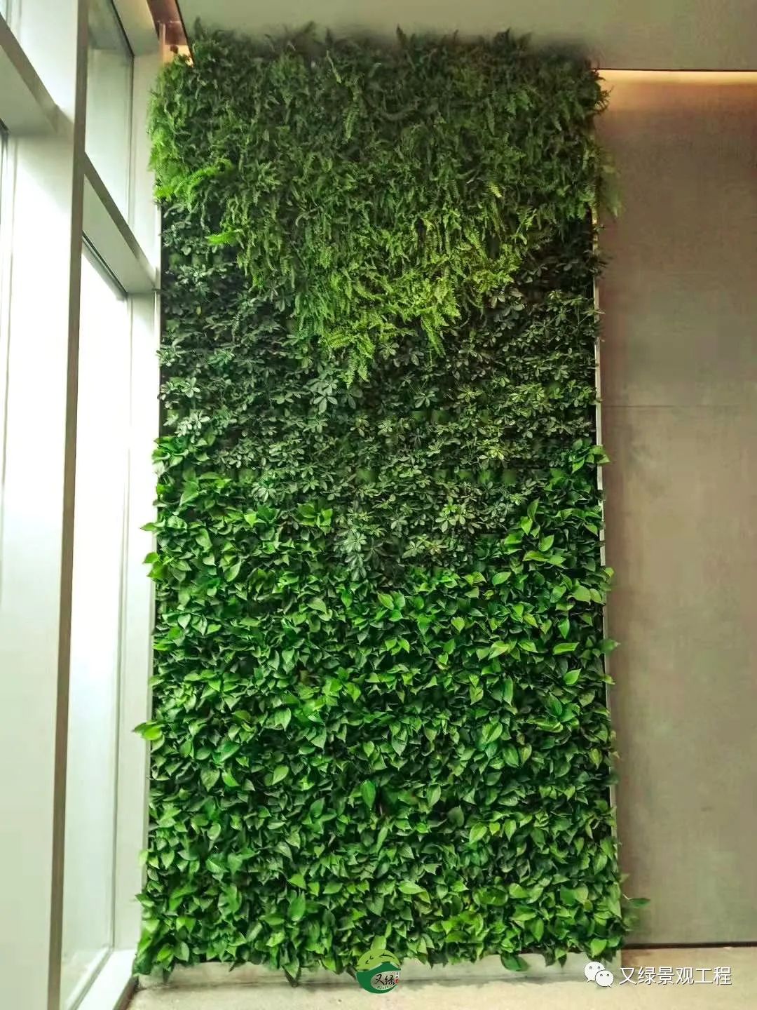 企业植物墙这样做，简约又大气