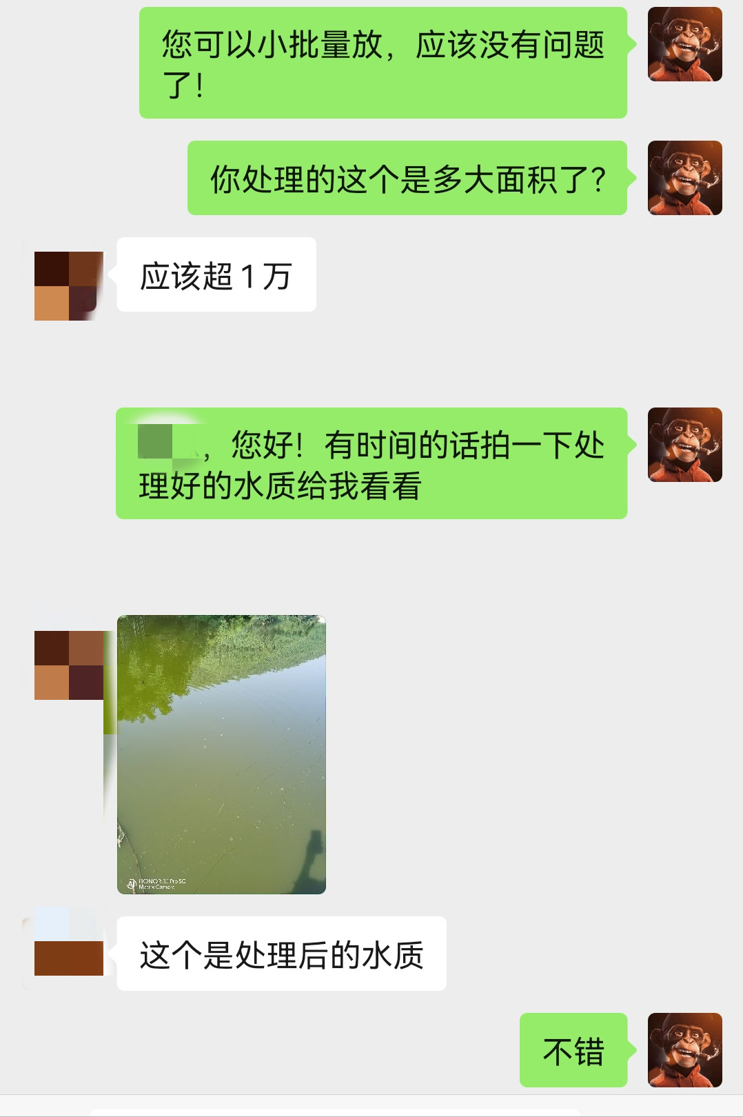 怎么把受猪场尿粪污染的鱼塘净化重新养鱼？广东这位老板告诉你
