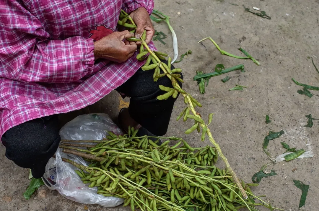 飘了,反套路的“硬核市集”给我找到了