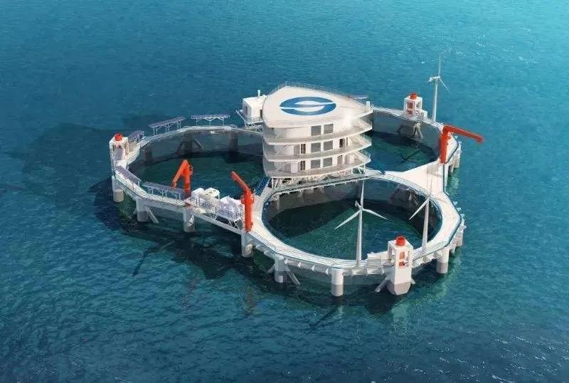 人工鱼礁建设是改善海洋环境增殖资源的有效措施 人工鱼礁建设是改善海洋环境增殖资源的有效措施