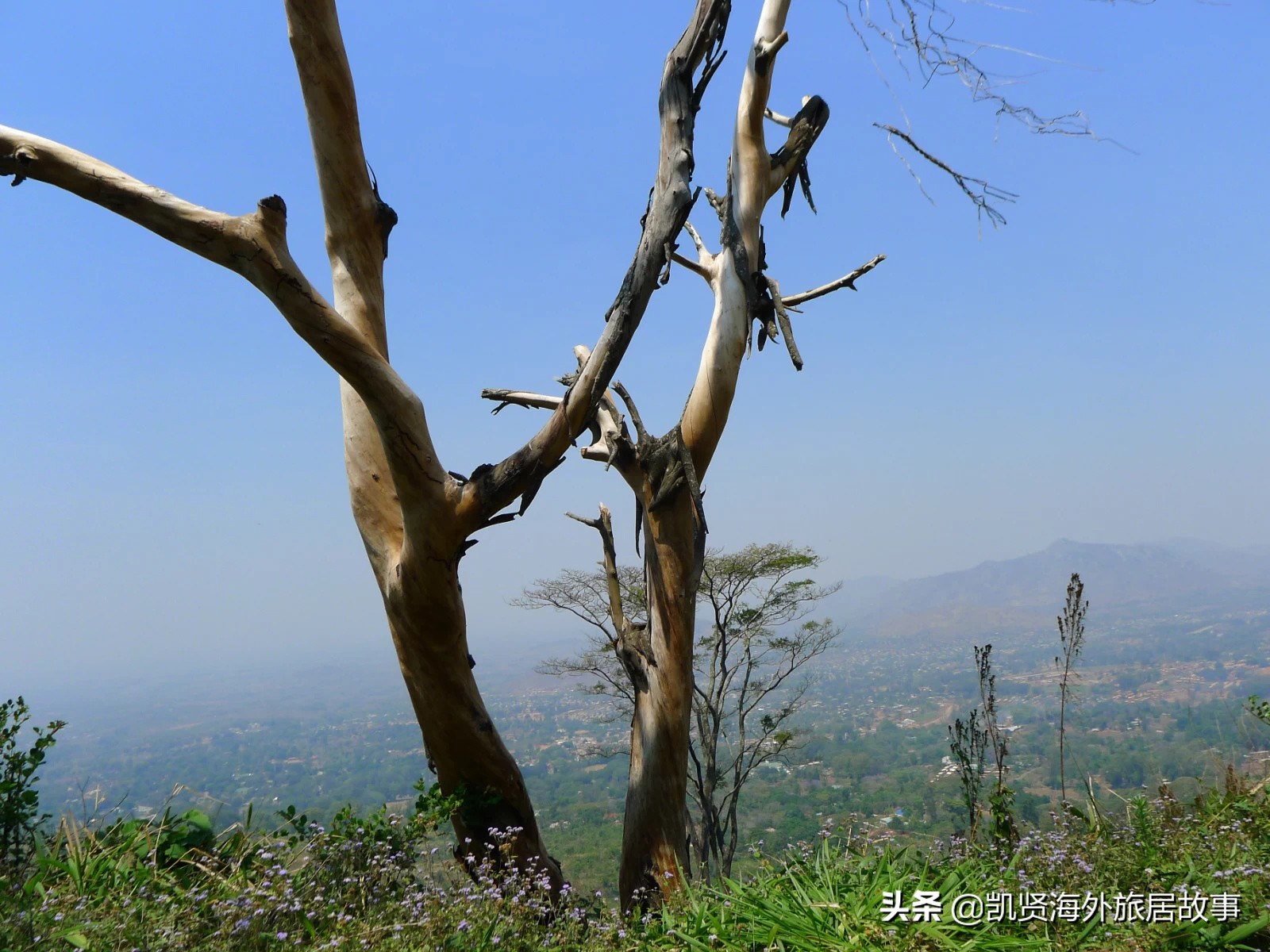 除了乞力马扎罗，东非的粽粑山，也值得探索一番，还被猴子攻击了