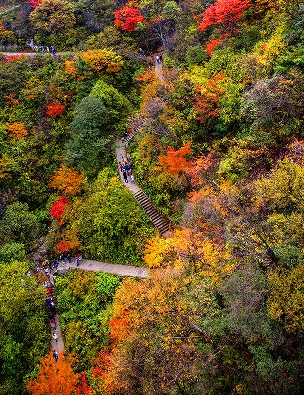 河南：一部河南史，半部华夏册，“豫”见中国的大美之地