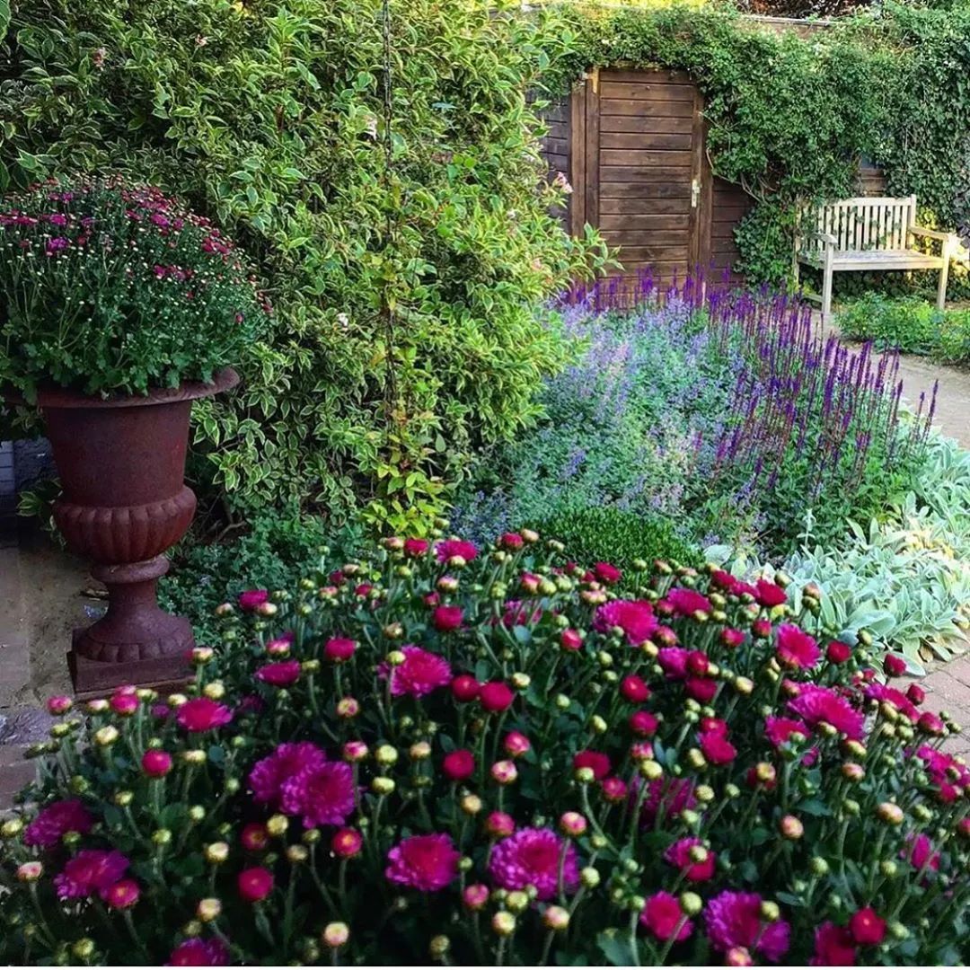 25种花境设计，让生活更美好，你最喜欢哪种？