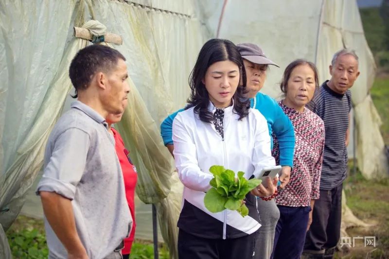 【連線在懷全國人大代表】李小紅：加大農業技術社會化服務 變“土里刨食”到“土里刨金”
