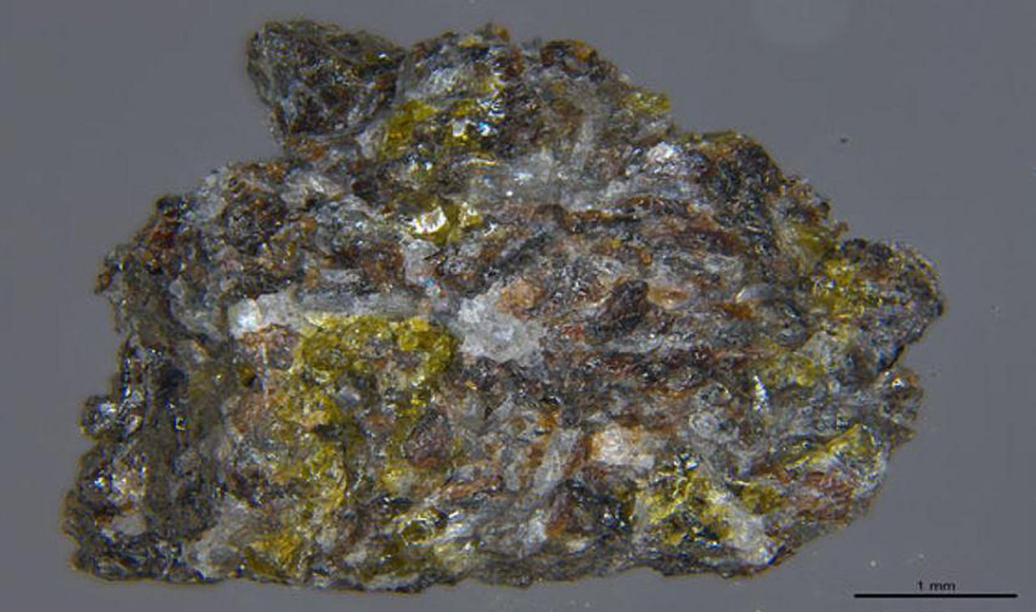 �϶���ź����1��191�ڣ��й��������ͻ���������������ߣ�