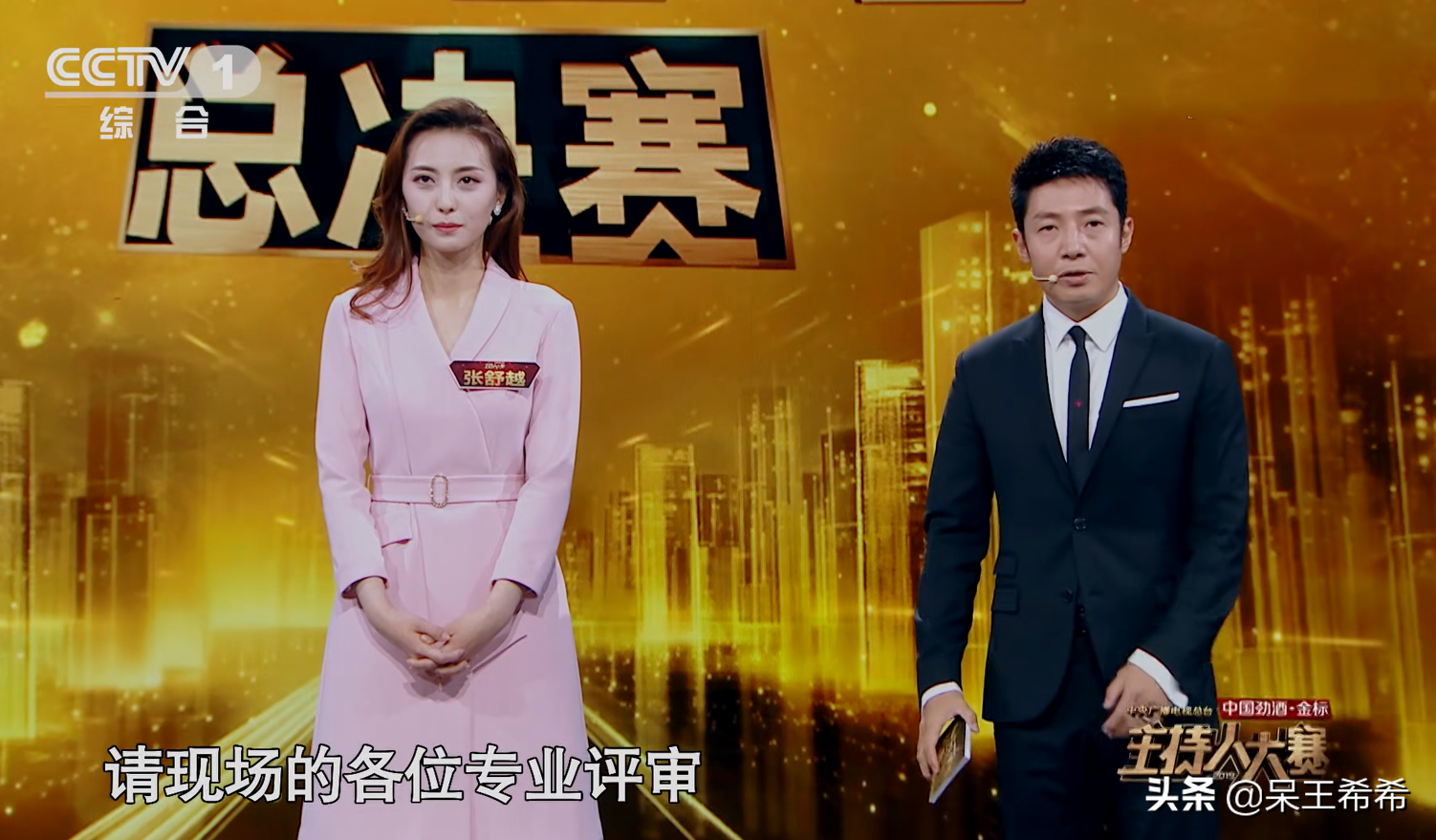 央视新面孔张舒越重返“舒适区”，主持风格适合旅游类节目