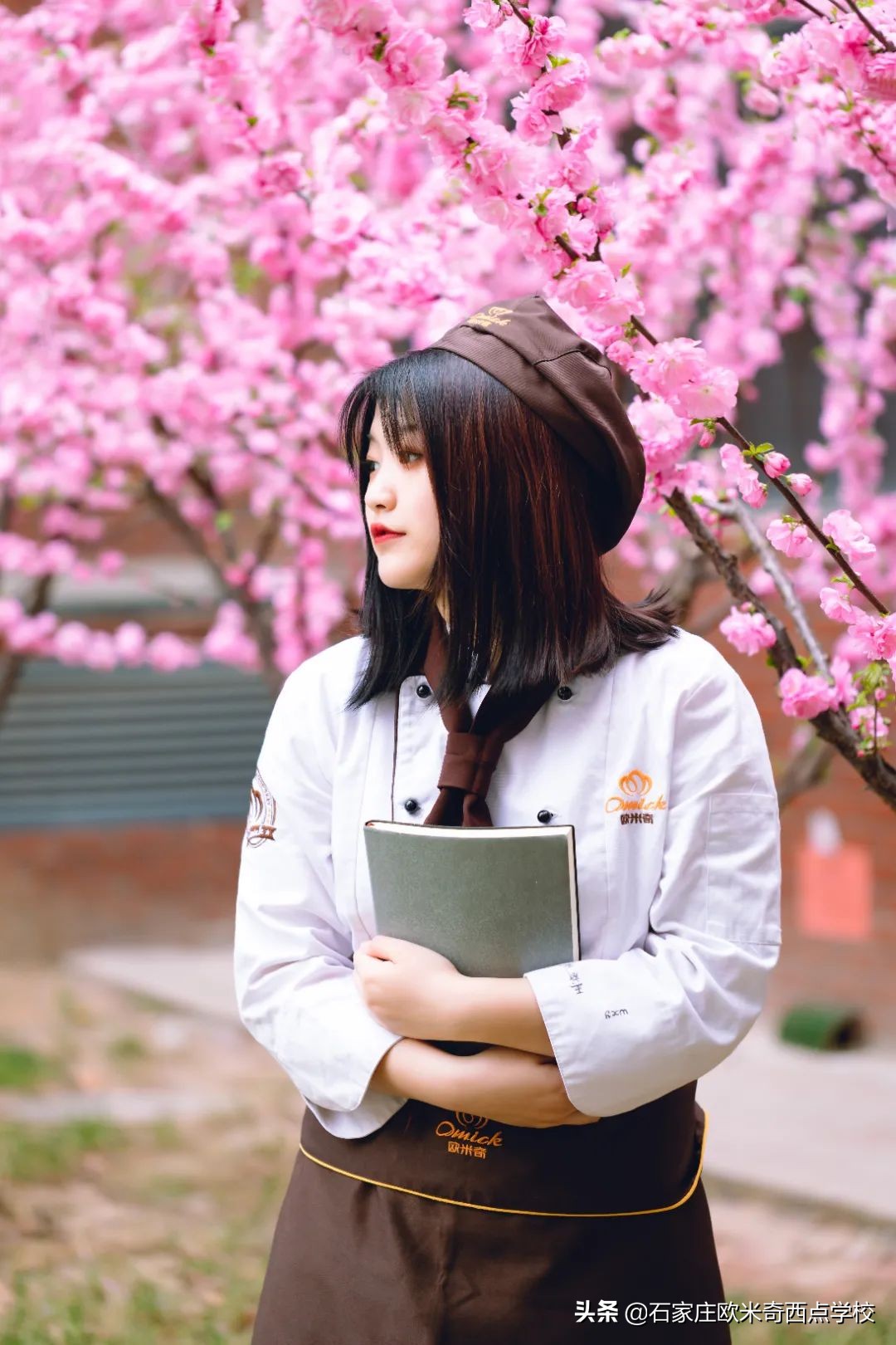 石家庄学西点烘焙去哪里？贵不贵？学费多少？