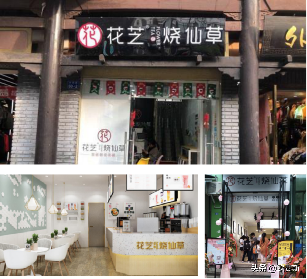 欧赛斯行业研究：仙草茶饮行业现状及代表性品牌分析