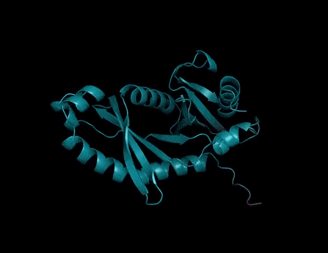 快了一个0！Meta祭出150亿参数蛋白质大模型，碾压AlphaFold2