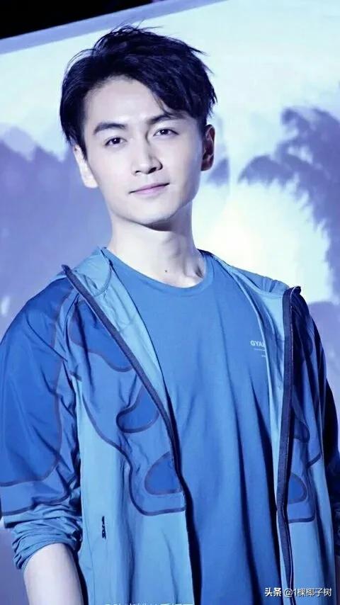 陈晓和苏有朋长得像吗？感觉都是奶油小生类型的