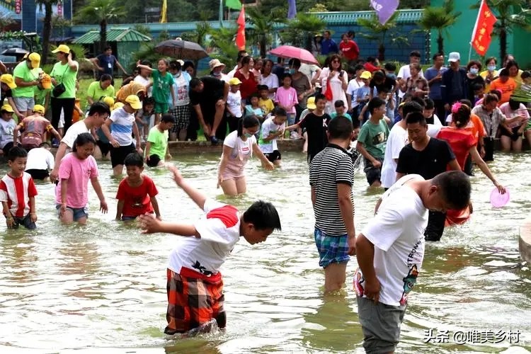 乡村产业发展，如何有效利用“四荒地”？5大创意玩法值得借鉴