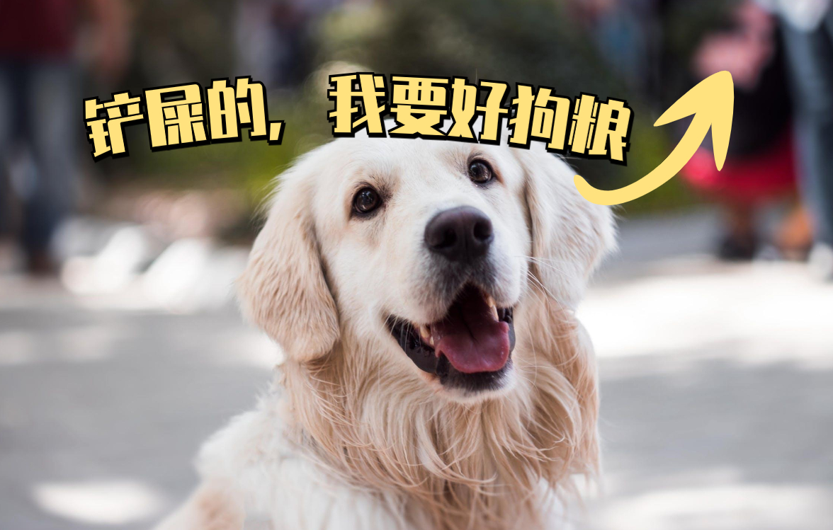 狗狗跟你“告别”的几个方式，很多宠主不知道