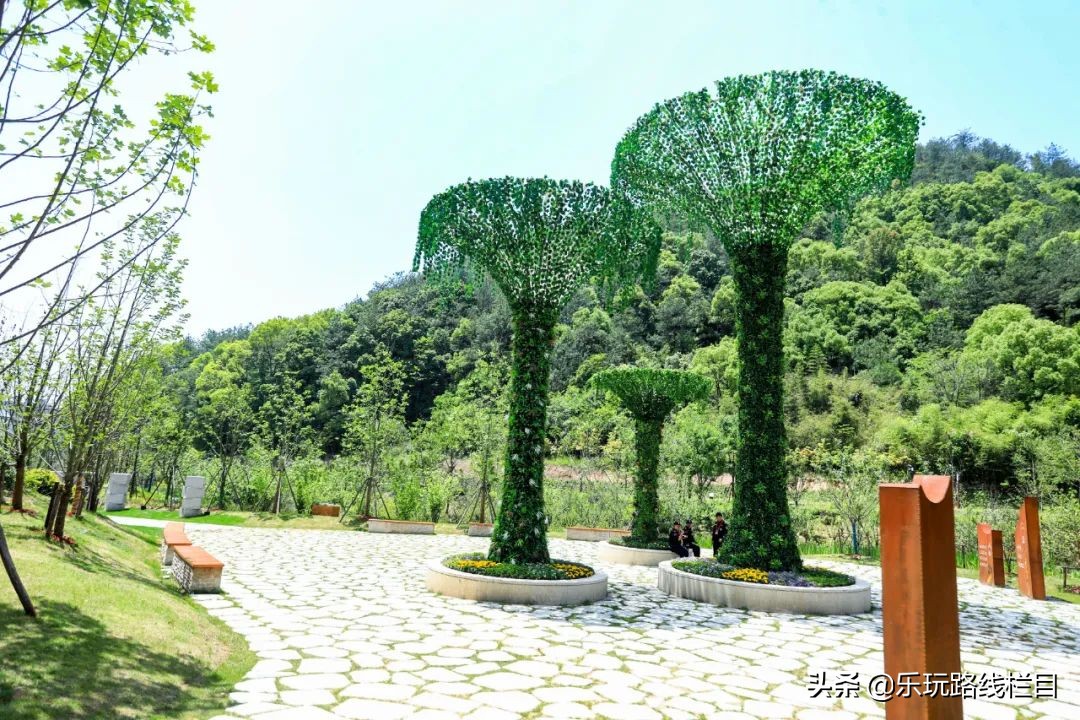 收藏！莲都春游好去处都在这里了