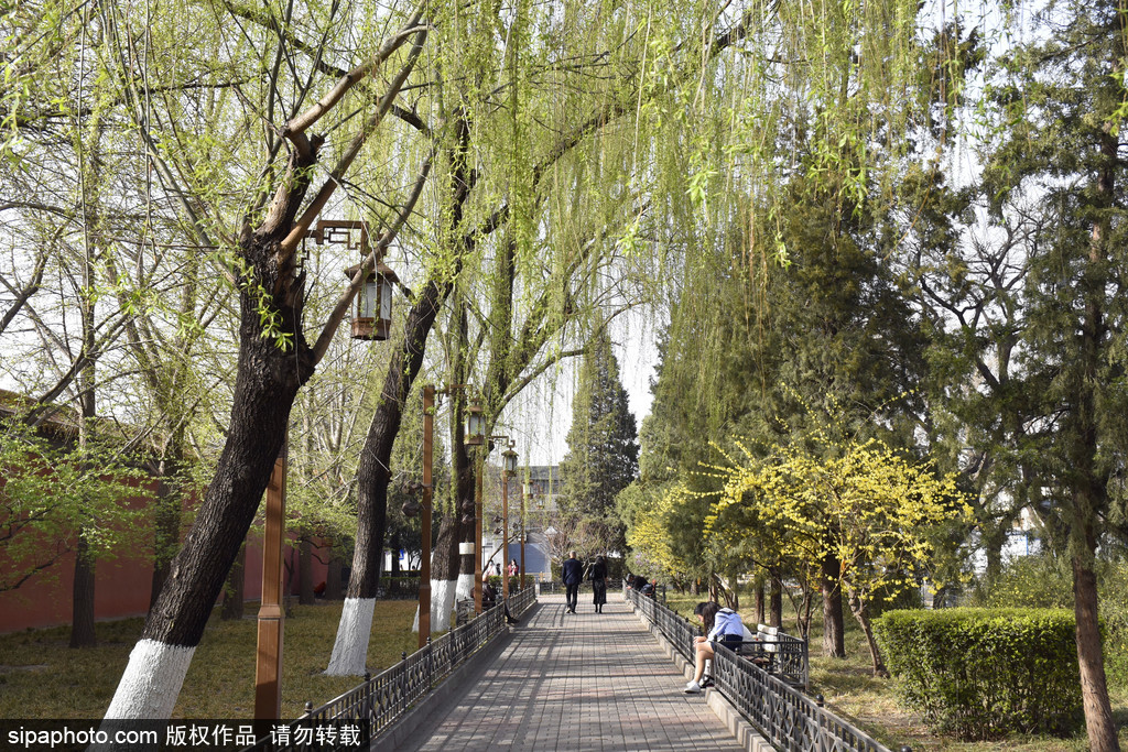 北京景山公园门票多少钱一张（景山公园景点介绍）