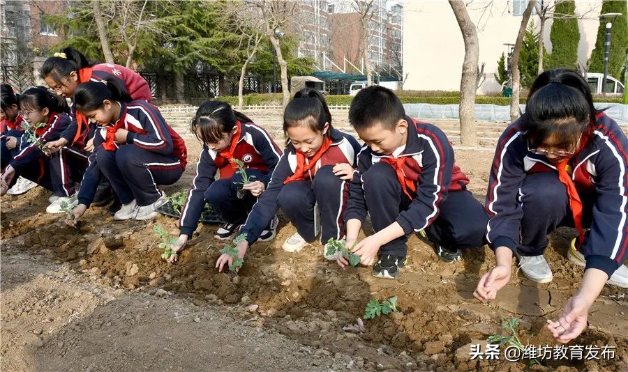 周播报 | 潍坊校园新闻（03.07—03.13）