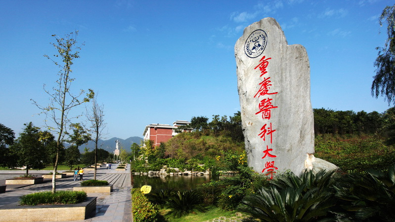 985医学院招生：规模远低于医科大学，可否扩招培养医学人才？