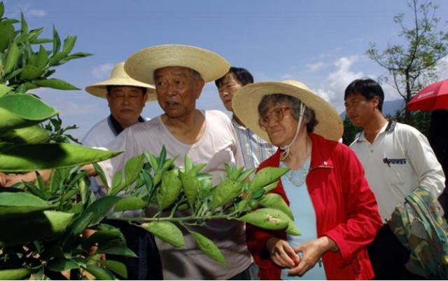 中国女富豪马静芬：坐牢、丧女、患癌，70岁创业，86岁身价过亿