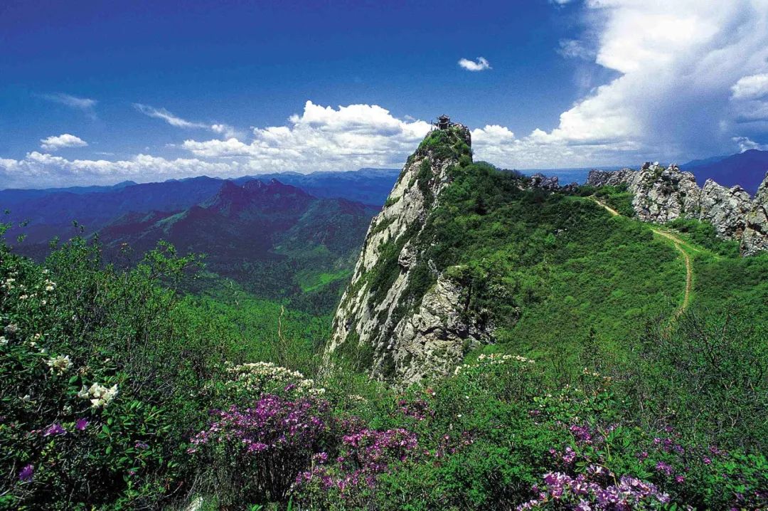 五一未必要远游 跟着镜头看风景