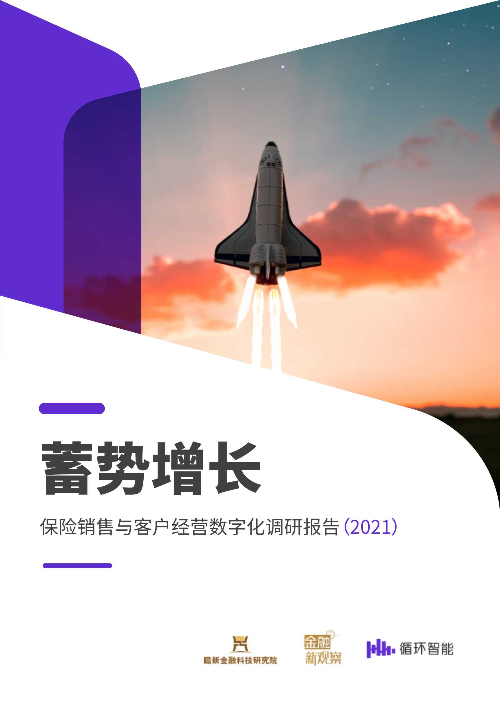蓄势增长：保险销售与客户经营数字化调研报告2021